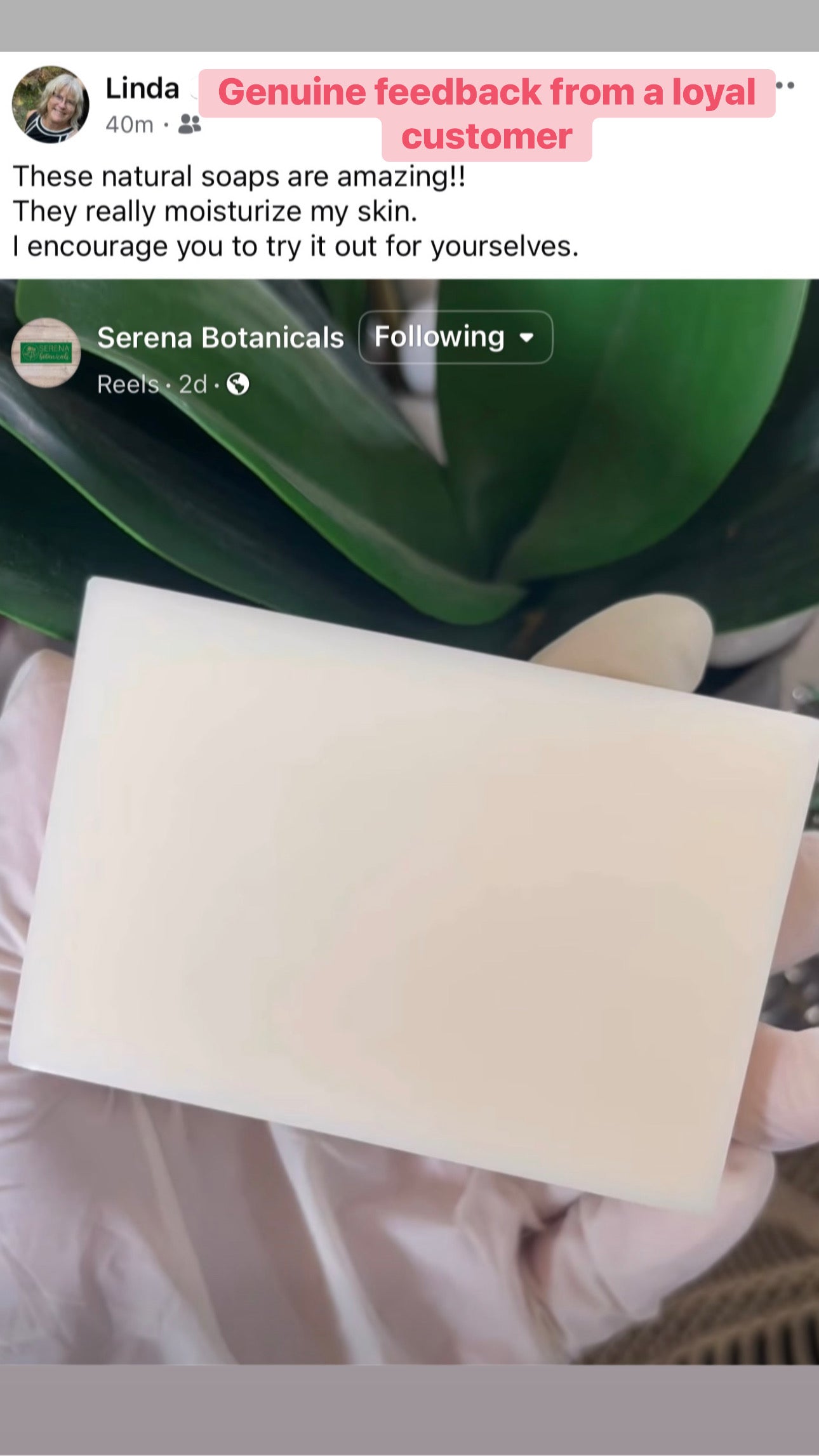 Mori Bliss (Moringa Soap)